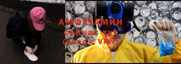 PSILOCYBIN Бородино
